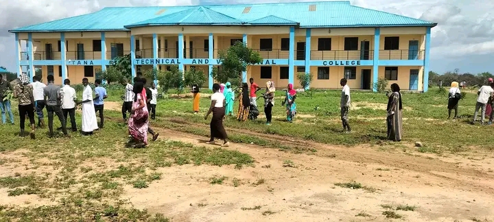 tree planting2